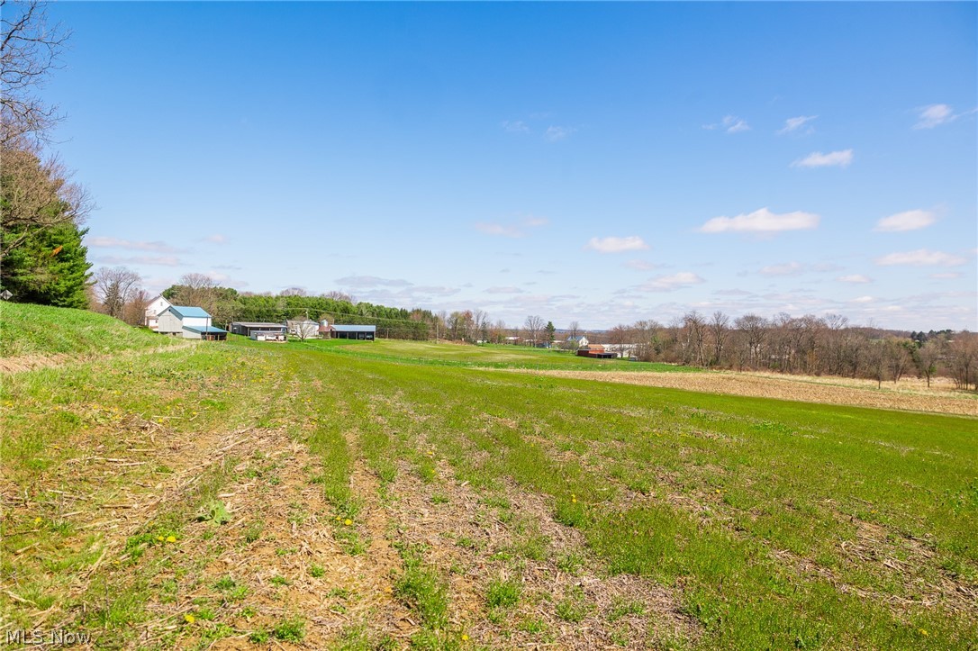 9050 Freeman Road Lisbon OH 44432