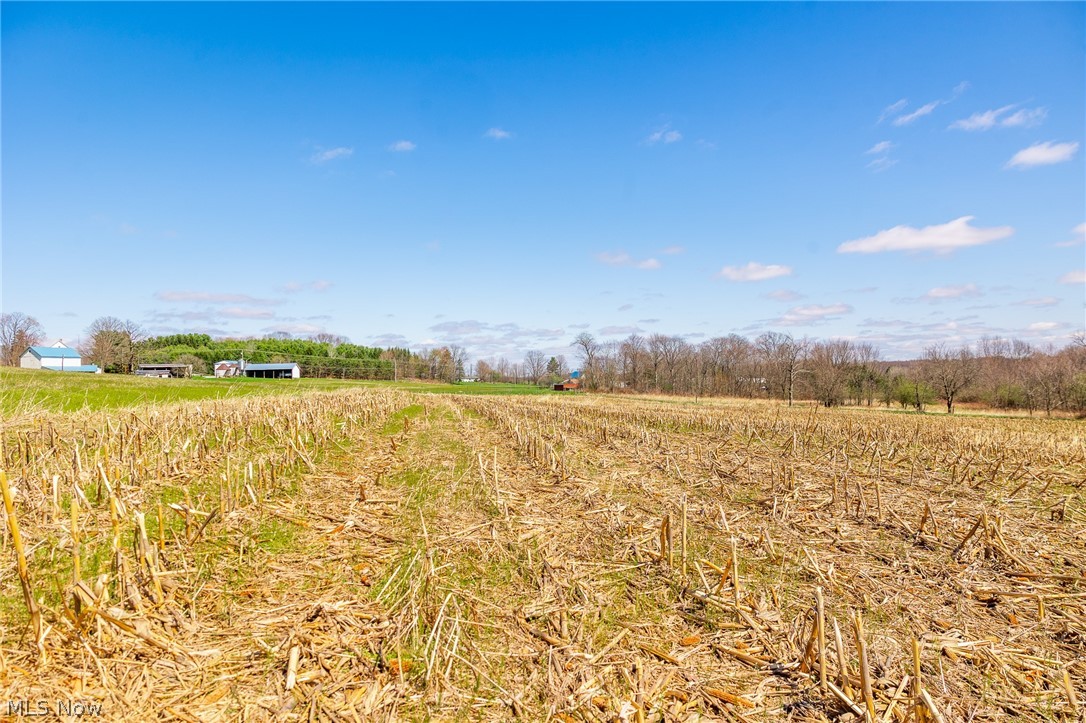 9050 Freeman Road Lisbon OH 44432