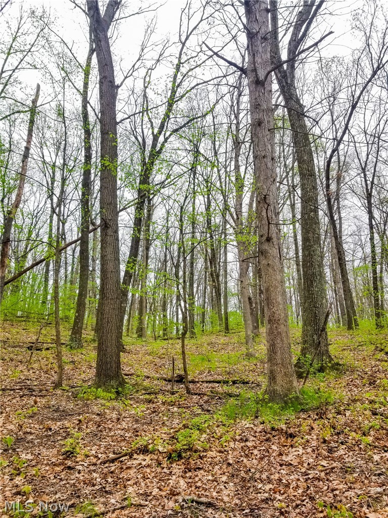 17081 State Route 644 Salineville OH 43945