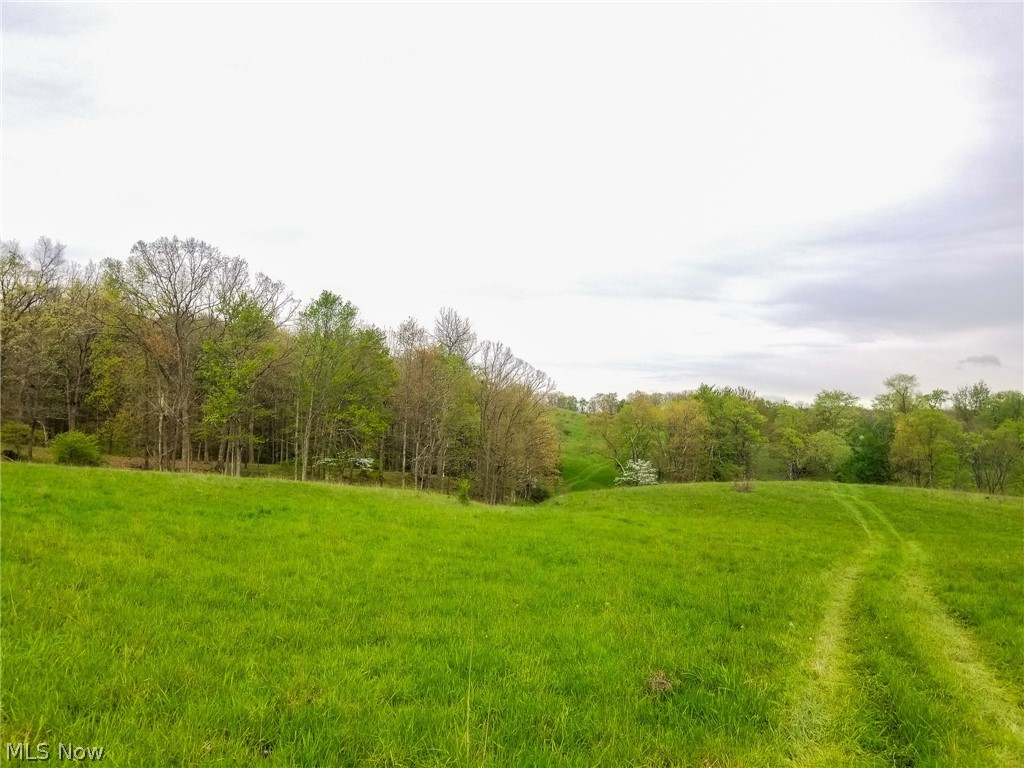 17081 State Route 644 Salineville OH 43945
