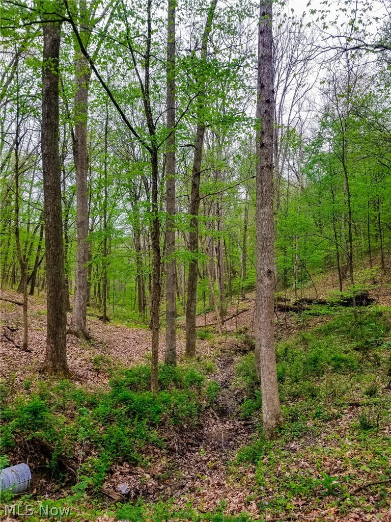 17081 State Route 644 Salineville OH 43945