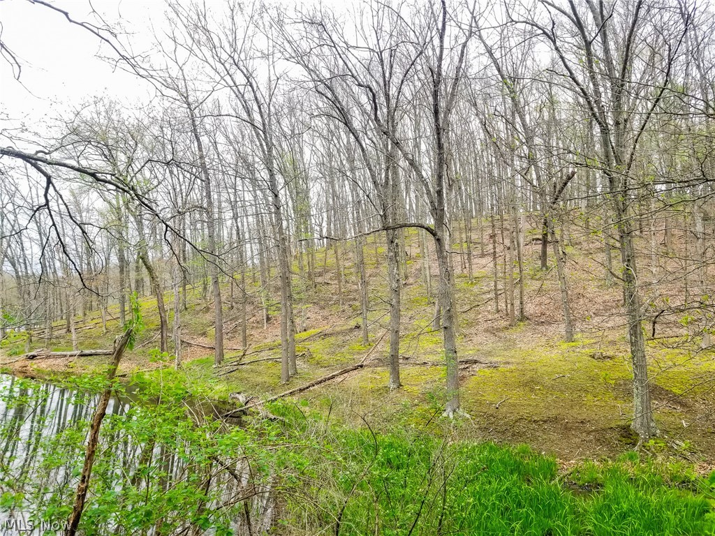 17081 State Route 644 Salineville OH 43945