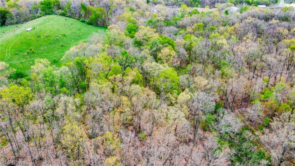 17081 State Route 644 Salineville OH 43945