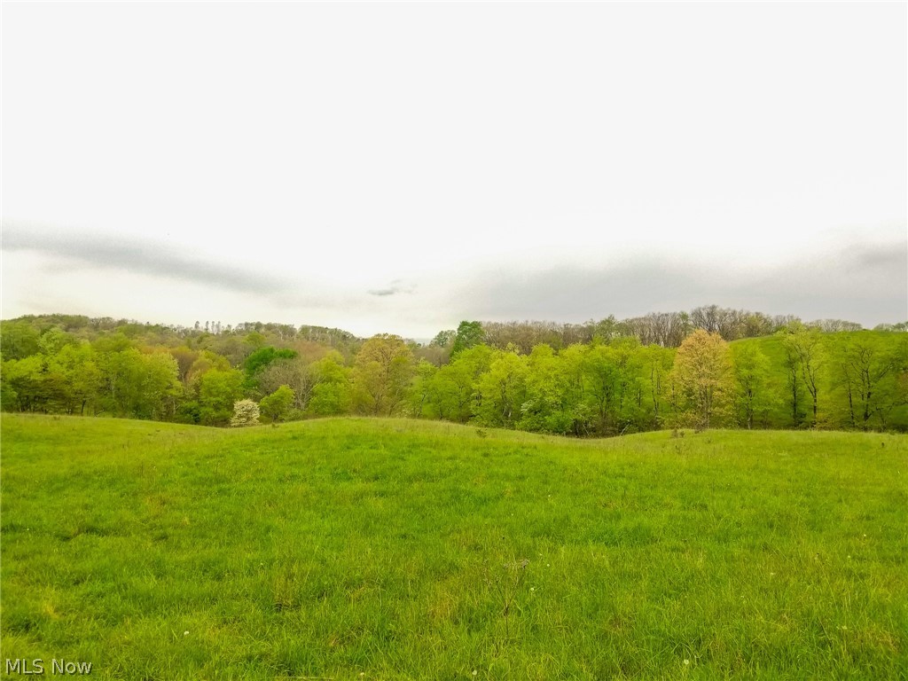 17081 State Route 644 Salineville OH 43945