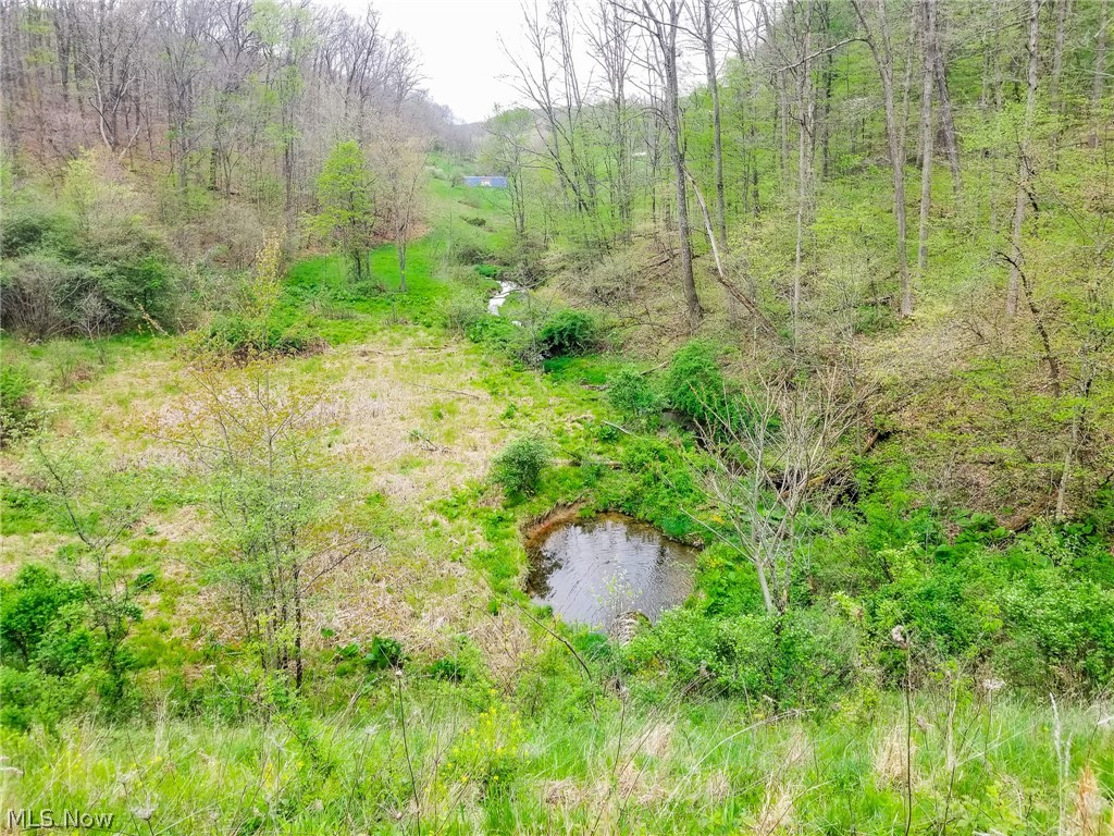 17081 State Route 644 Salineville OH 43945