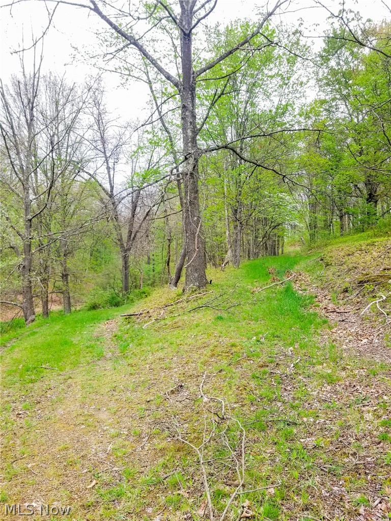 17081 State Route 644 Salineville OH 43945