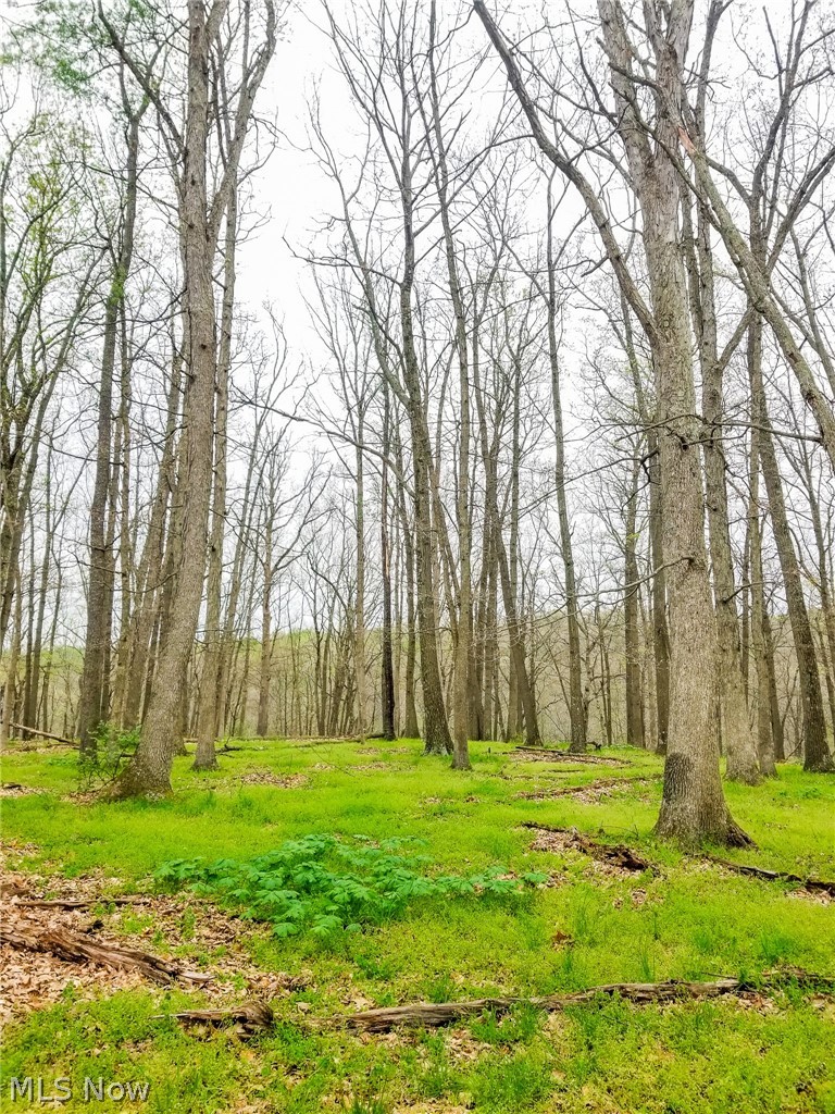 17081 State Route 644 Salineville OH 43945