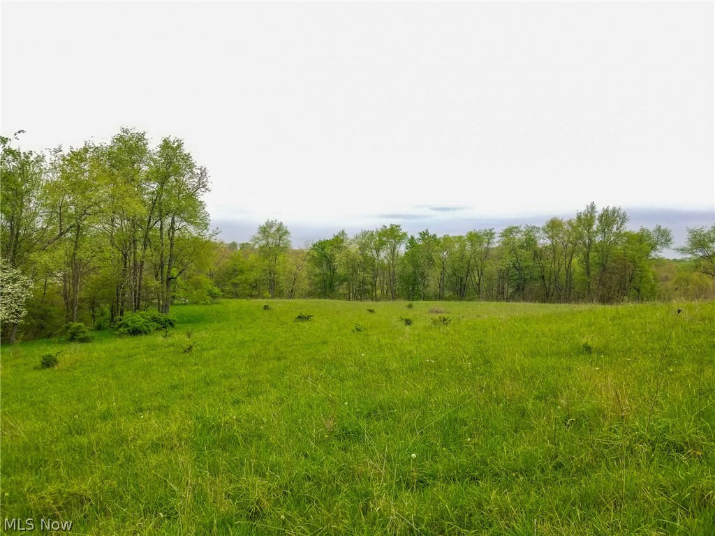 17081 State Route 644 Salineville OH 43945