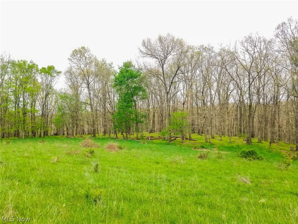 17081 State Route 644 Salineville OH 43945