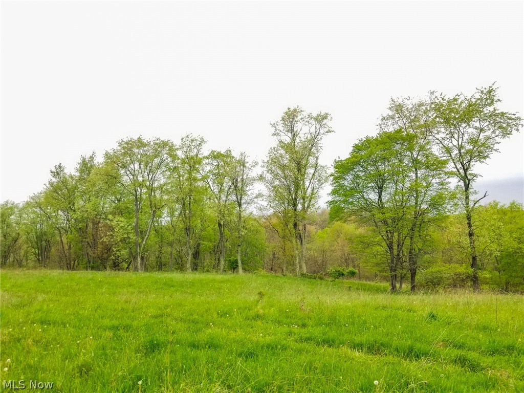 17081 State Route 644 Salineville OH 43945