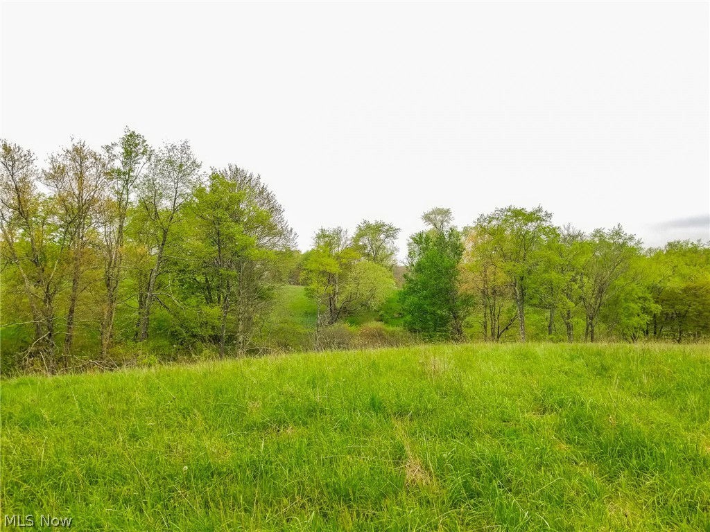 17081 State Route 644 Salineville OH 43945