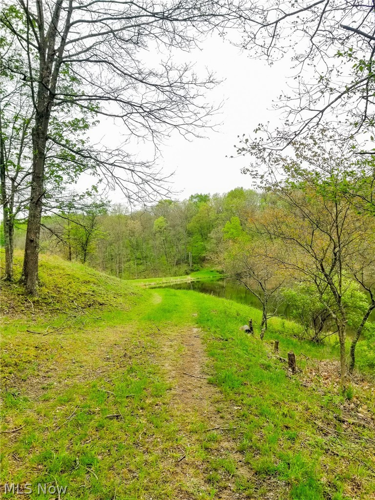 17081 State Route 644 Salineville OH 43945