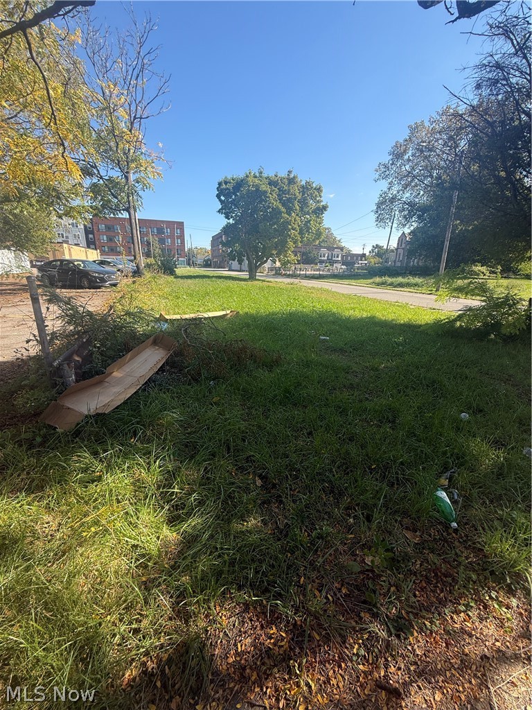 2103 E 81st Street Cleveland OH 44103