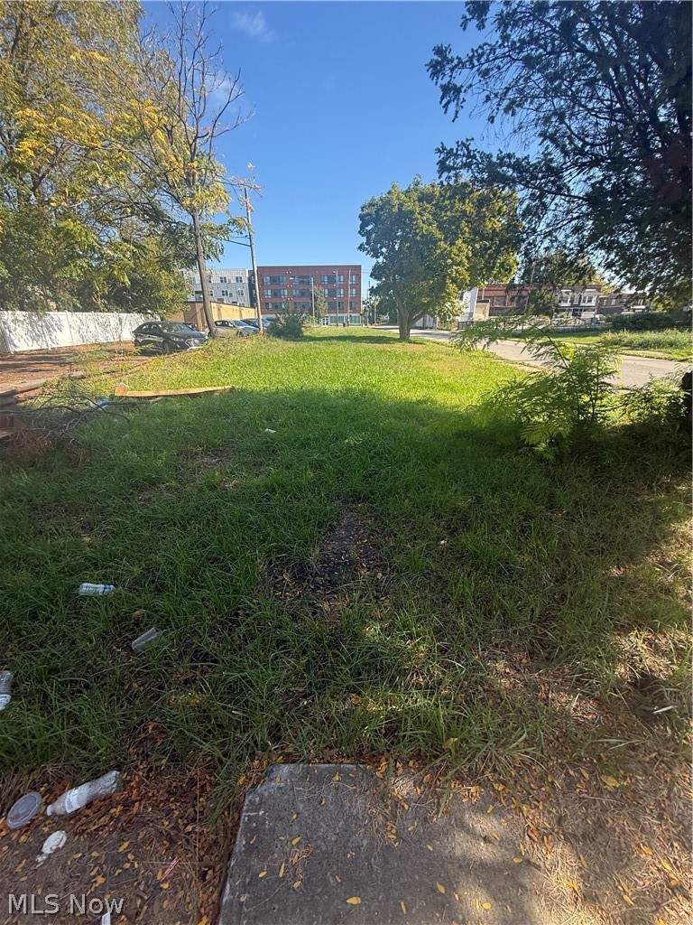 2103 E 81st Street Cleveland OH 44103