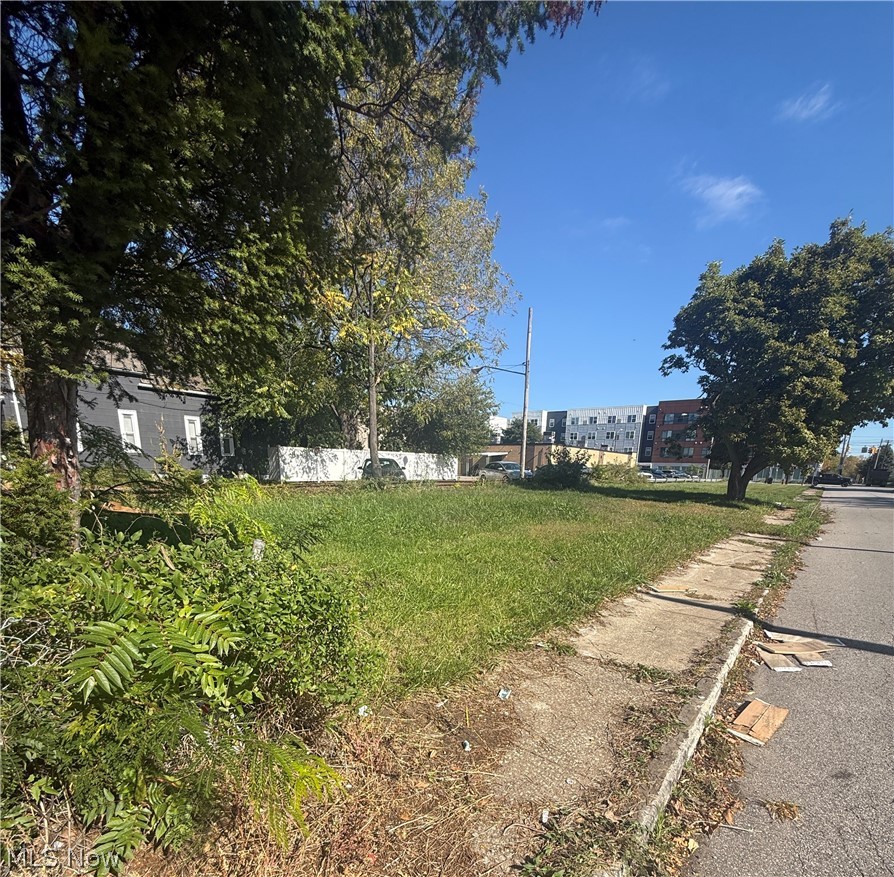 2103 E 81st Street Cleveland OH 44103