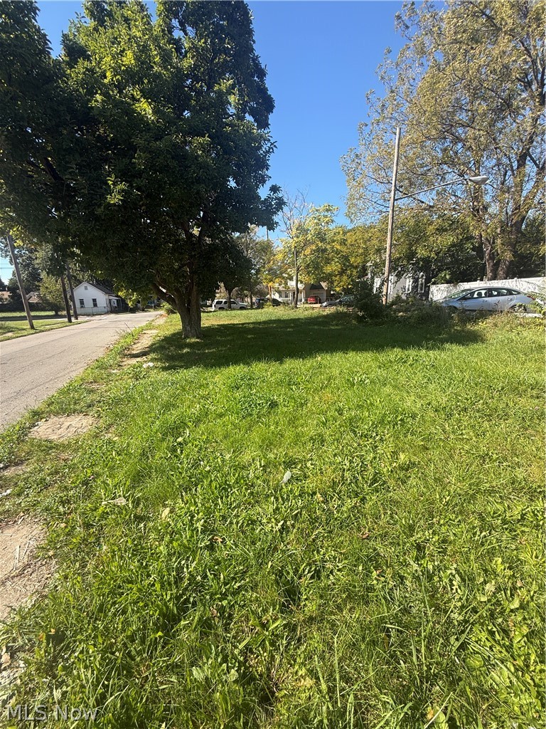 2103 E 81st Street Cleveland OH 44103