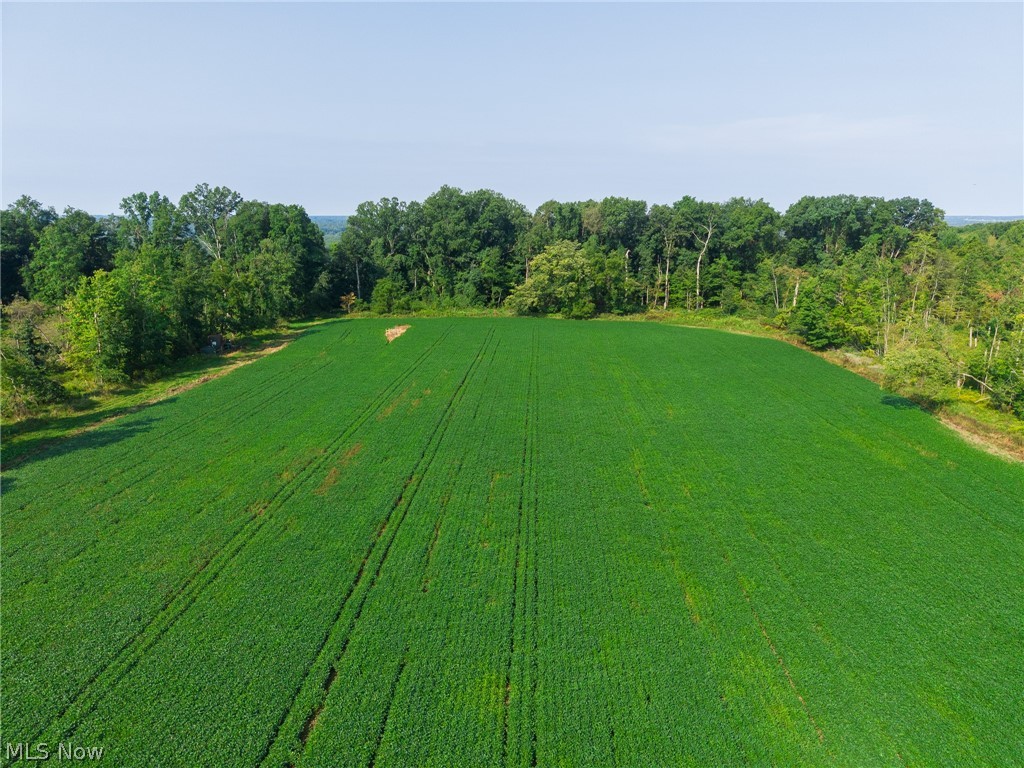7785 Jewell Greenville Road Kinsman OH 44428