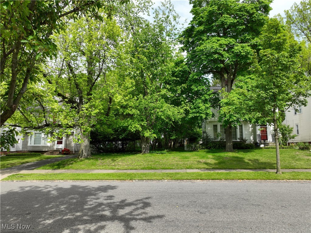 1151 Haselton Road Cleveland Heights OH 44121