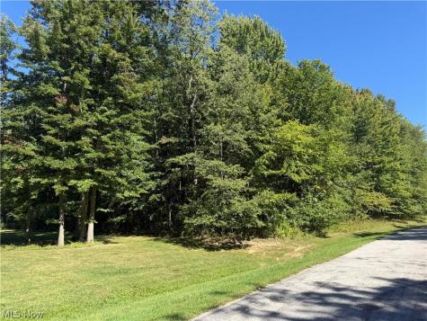 Shirley Drive Painesville OH 44077