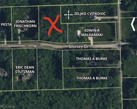 Shirley Drive Painesville OH 44077