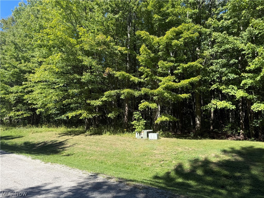 Shirley Drive Painesville OH 44077