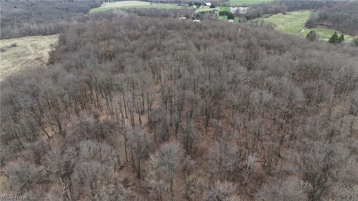Cream Ridge Road Lisbon OH 44432