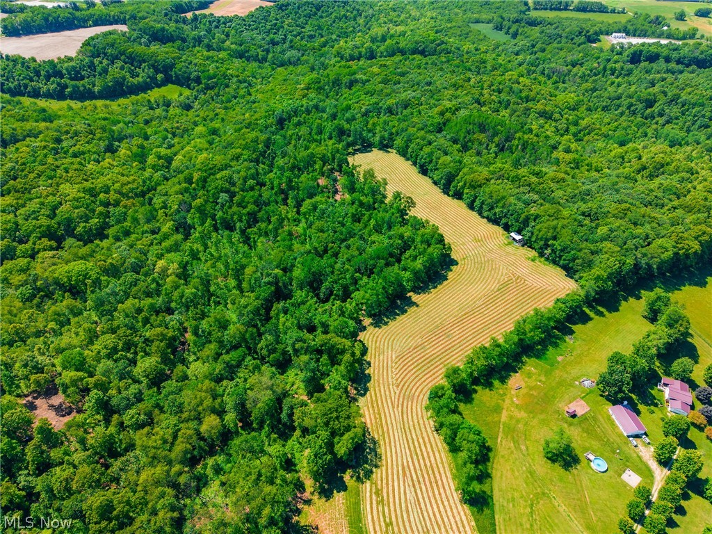 3188 SW Amsterdam Road Scio OH 43986