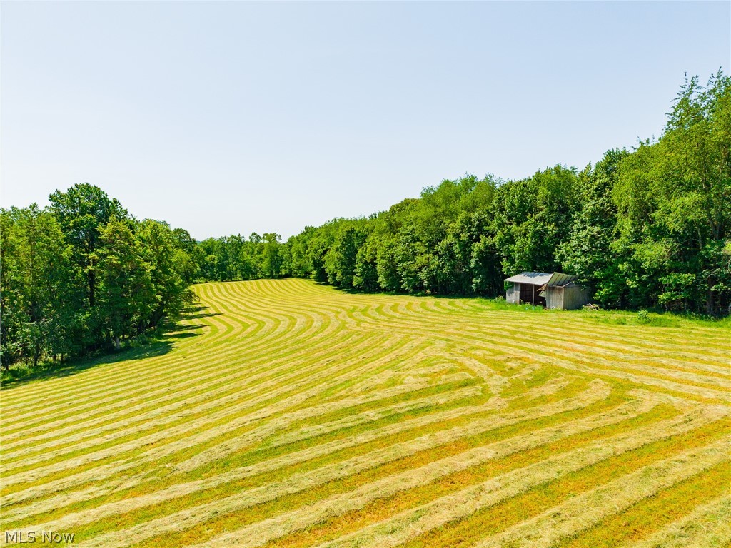 3188 SW Amsterdam Road Scio OH 43986
