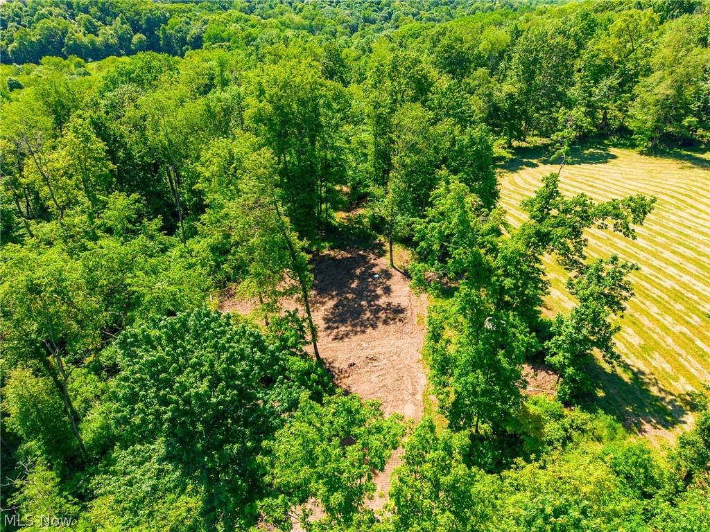 3188 SW Amsterdam Road Scio OH 43986