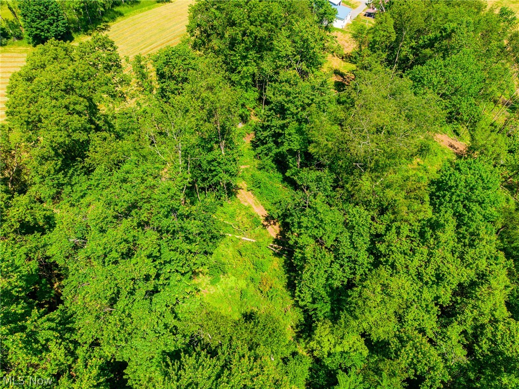 3188 SW Amsterdam Road Scio OH 43986