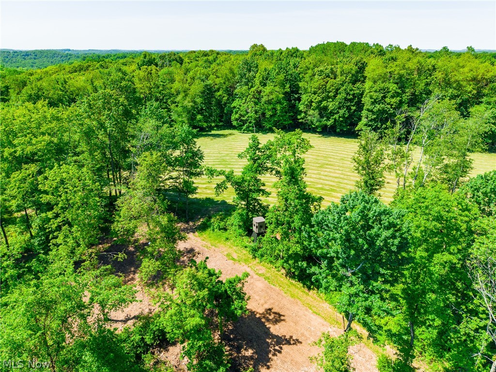 3188 SW Amsterdam Road Scio OH 43986