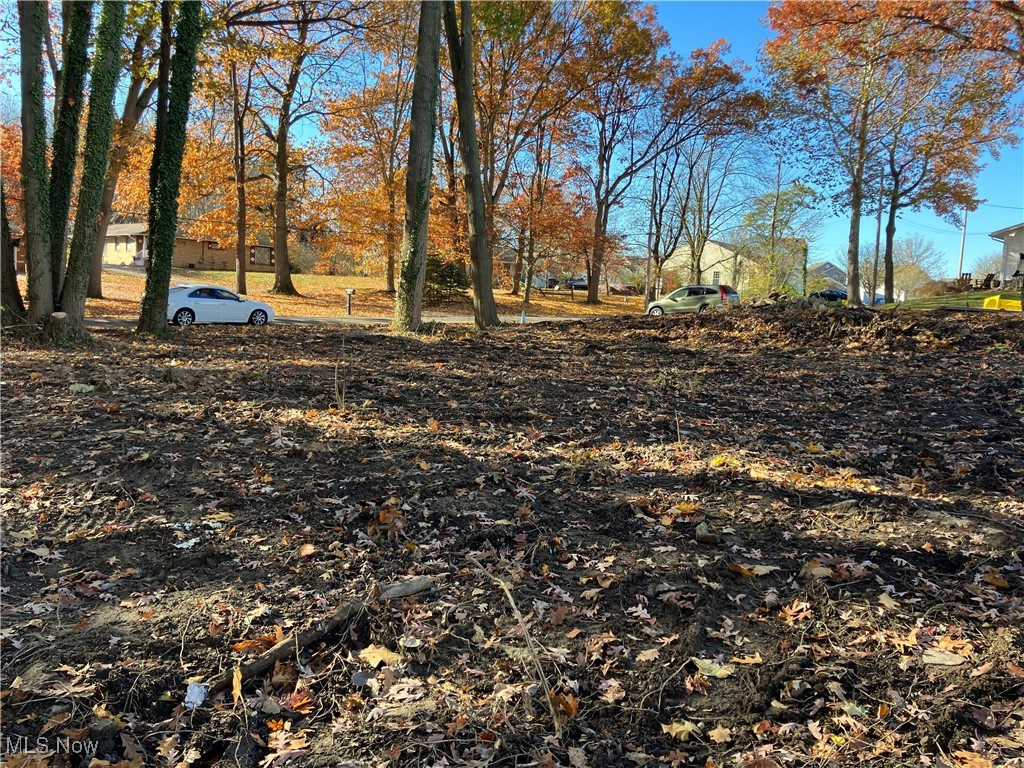 Woodview Drive Akron OH 44319