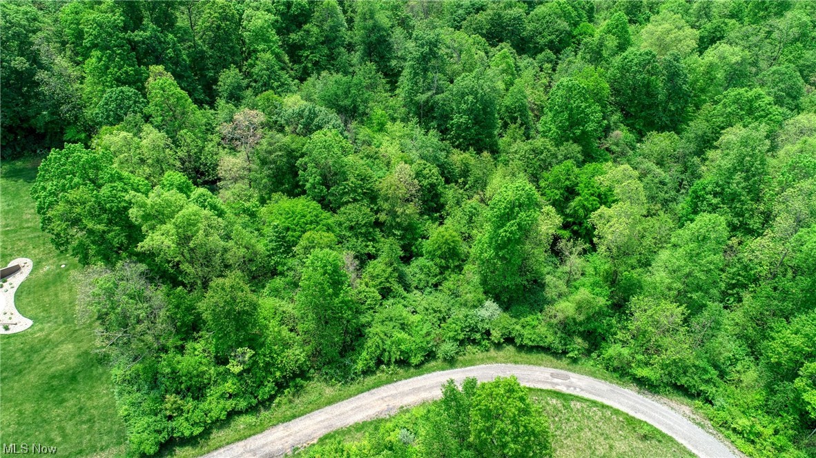 63590 Wintergreen Road Lore City OH 43755