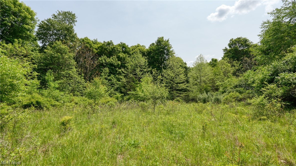 63590 Wintergreen Road Lore City OH 43755