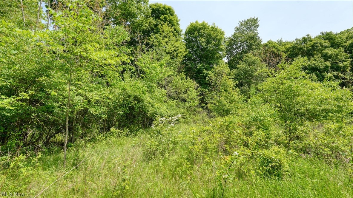 63590 Wintergreen Road Lore City OH 43755