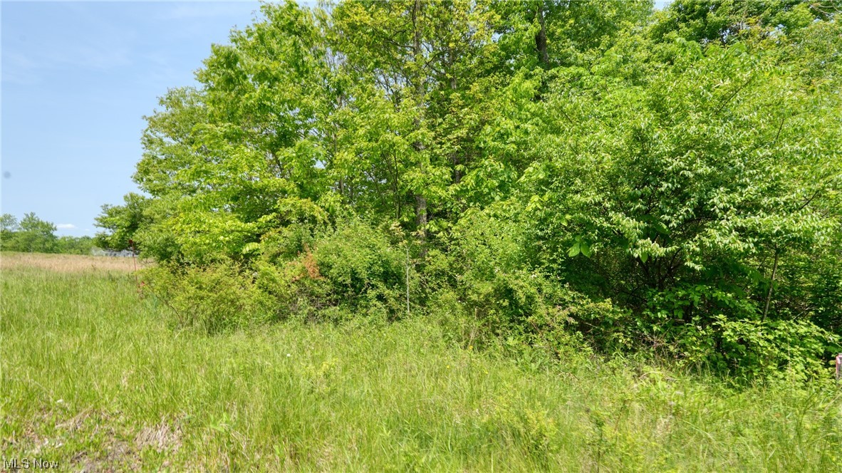 63590 Wintergreen Road Lore City OH 43755
