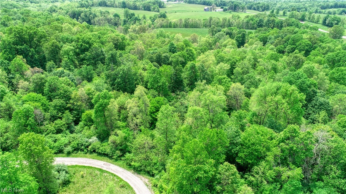 63590 Wintergreen Road Lore City OH 43755