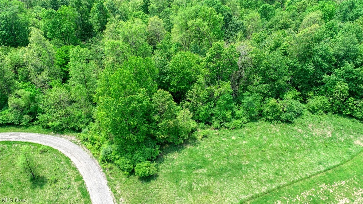 63590 Wintergreen Road Lore City OH 43755