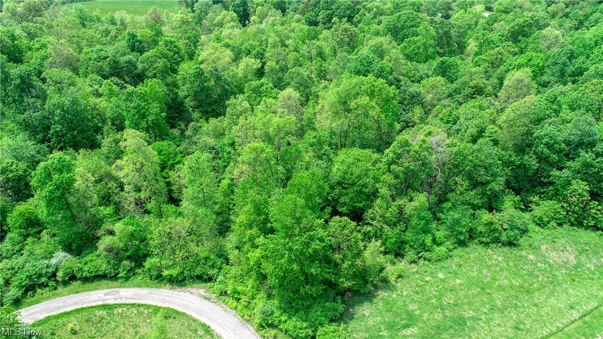 63590 Wintergreen Road Lore City OH 43755