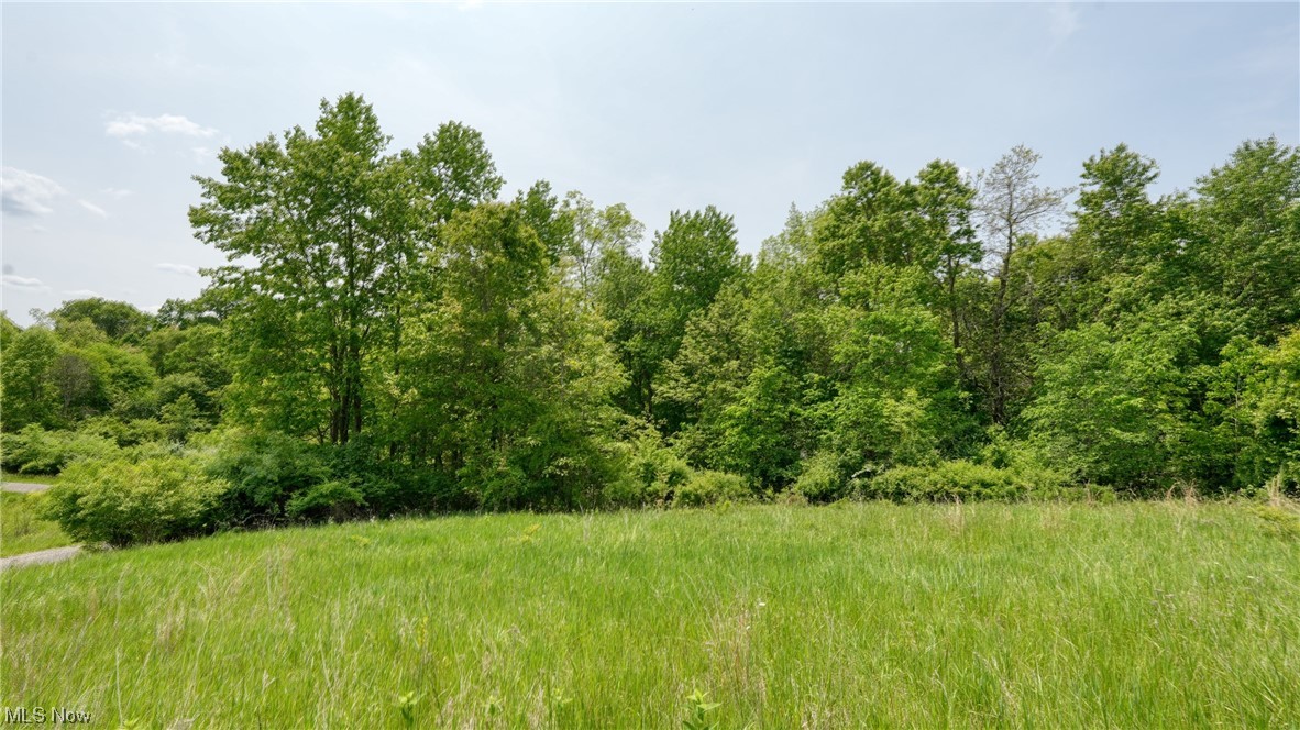 63590 Wintergreen Road Lore City OH 43755
