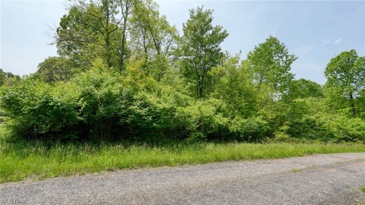 63590 Wintergreen Road Lore City OH 43755