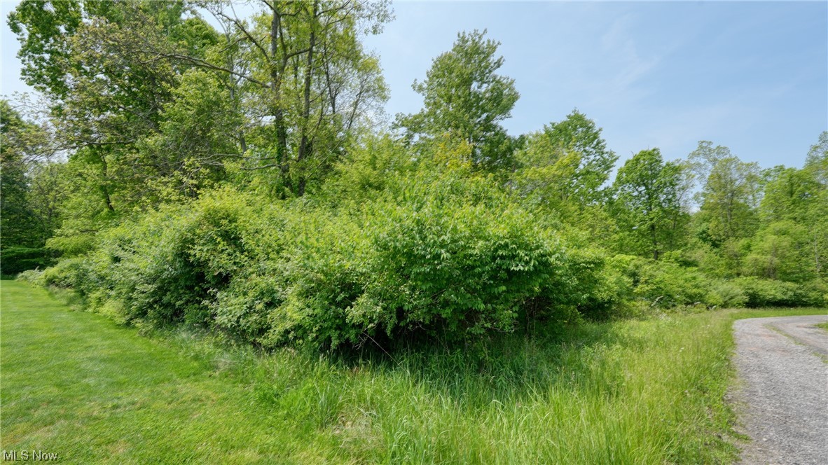 63590 Wintergreen Road Lore City OH 43755