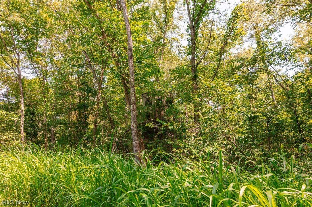 Richards Rd. Road Cambridge OH 43725