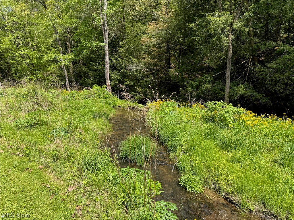 11811 Gaston Road Negley OH 44441