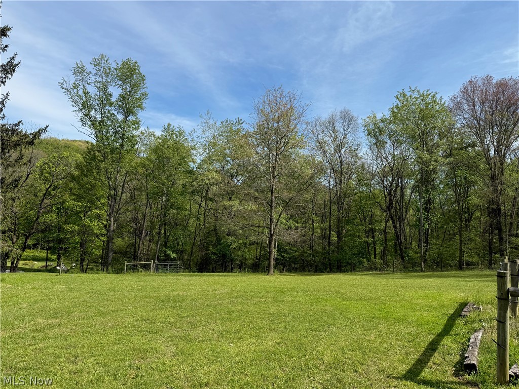 11811 Gaston Road Negley OH 44441