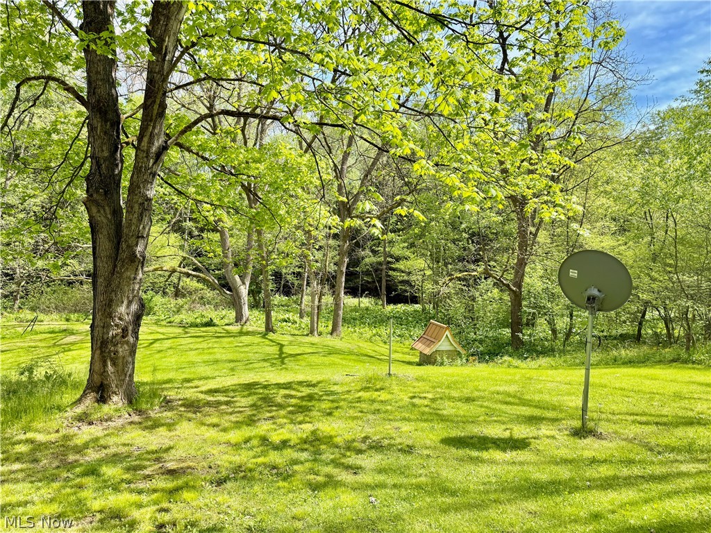 11811 Gaston Road Negley OH 44441