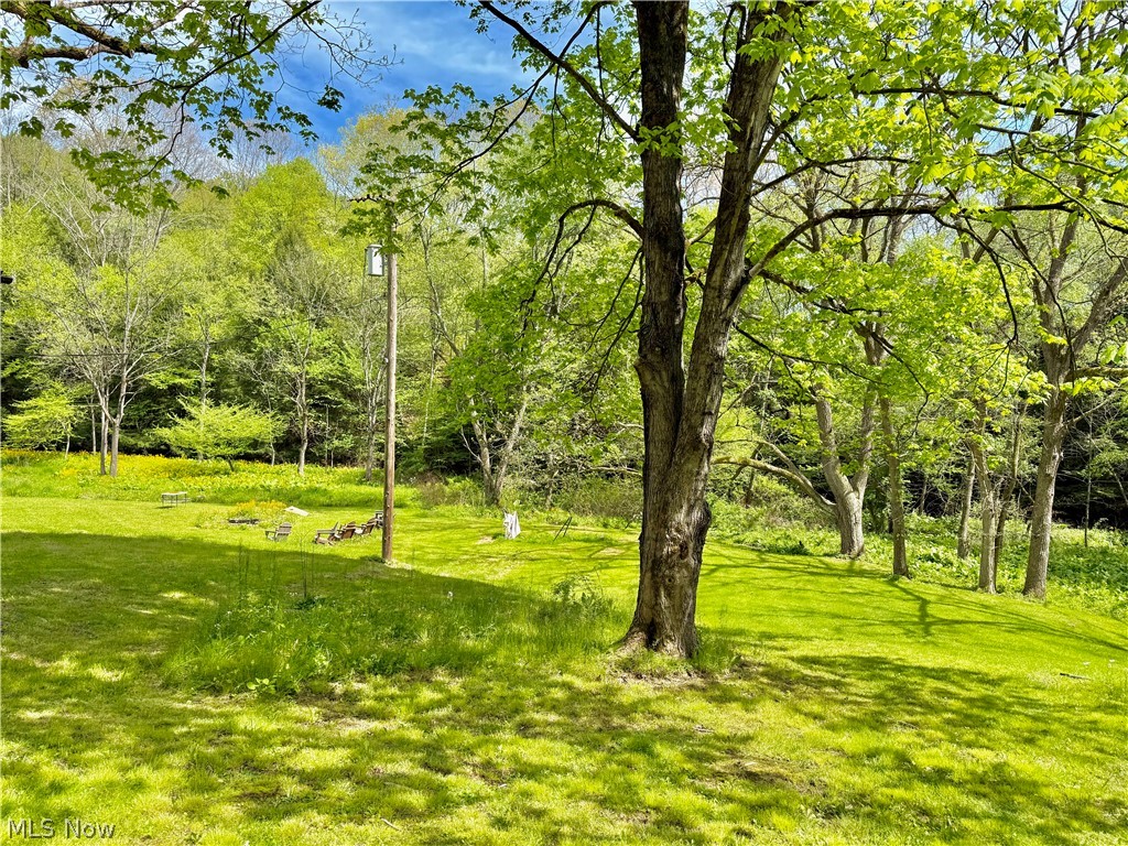 11811 Gaston Road Negley OH 44441