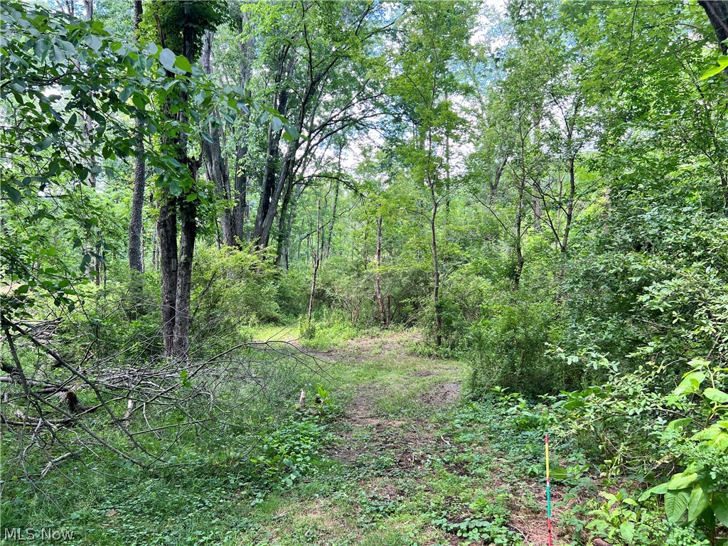 0 Snyder Drive Loudonville OH 44842