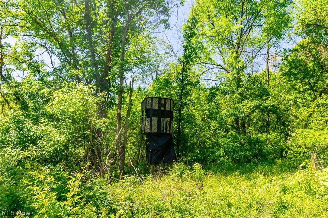 37500 Goose Run Road Dexter City OH 45727