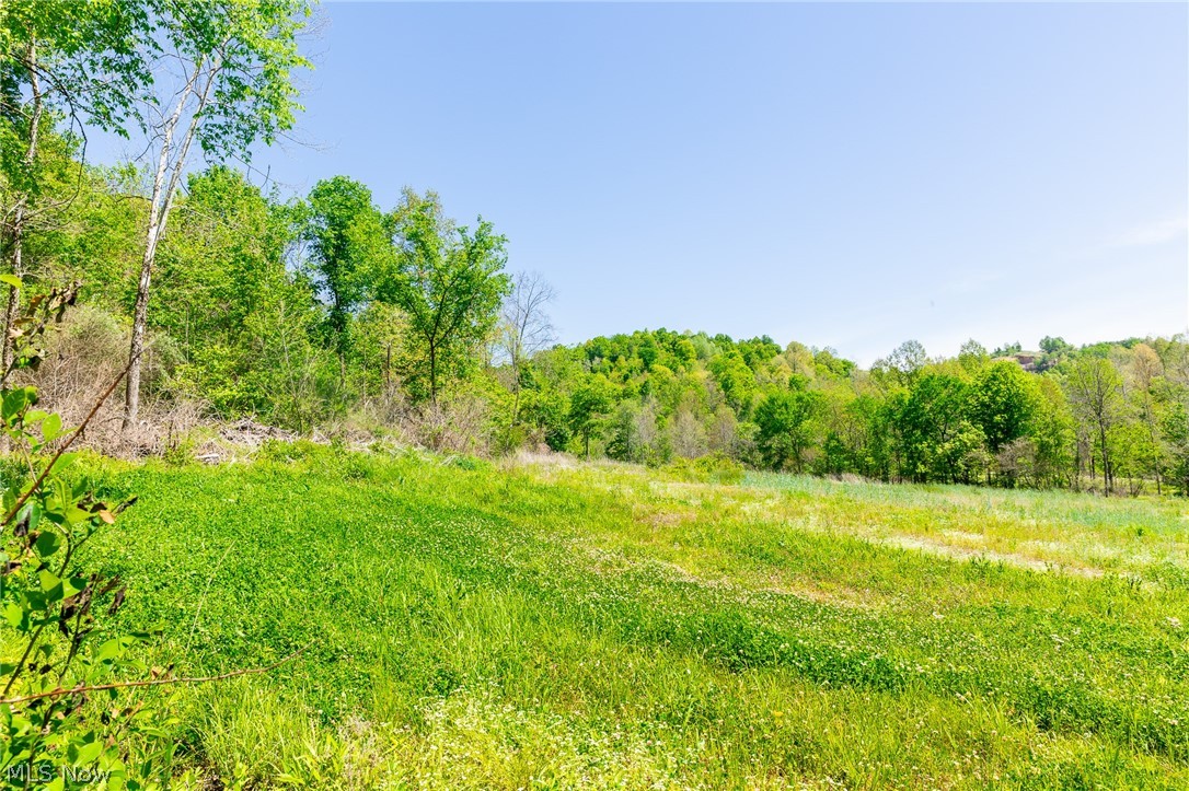 37500 Goose Run Road Dexter City OH 45727